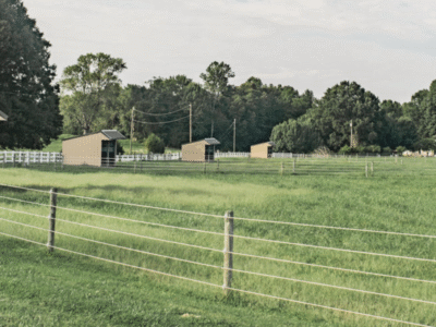 Kingfisher Park Equestrian